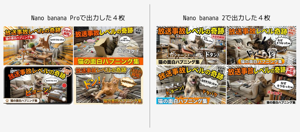 爆笑综艺风猫咪搞怪翻车集锦