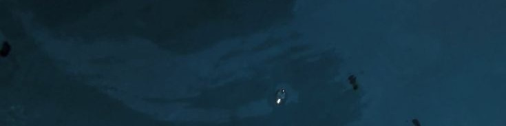 碧海仰拍：比莉艾利什的夏日自拍