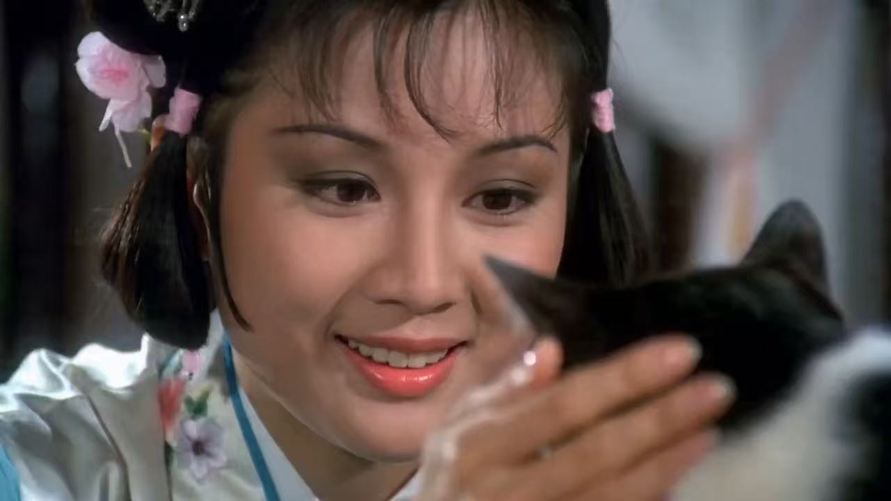 邵氏复古风猫咪变身奇遇